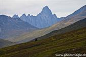 007_ZHX8624_TombstoneMts_NP