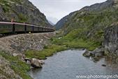 009_ZHX8866_WhitePass