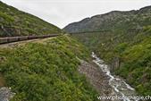 009_ZHX8889_WhitePass
