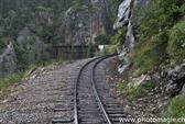 009_ZHX8931_WhitePass