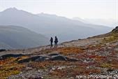 012_ZHX9511_ThompsonPass