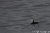 014_ZHX0104_Kenai