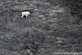 014_ZHX0119_Kenai