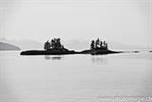 014_ZHX9885_Kenai