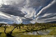 02_Paine_ZHX0992