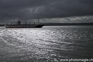 10_Shannon_ZHX4173