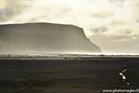 17_Latrabjarg_ZHX1735 17_Latrabjarg_ZHX1735