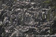39_Howth