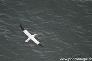 40_Howth_ZHX4824